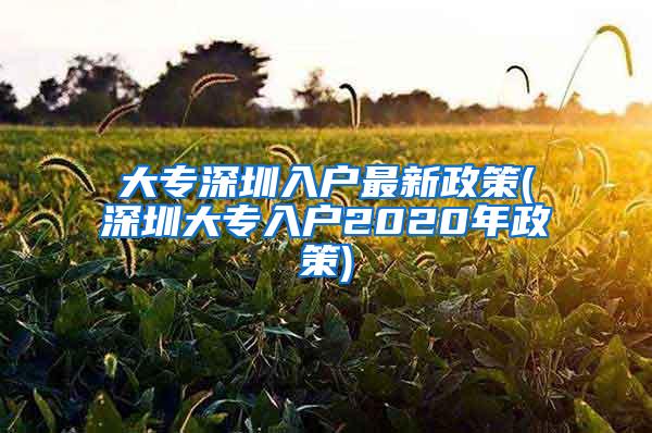 大专深圳入户最新政策(深圳大专入户2020年政策)