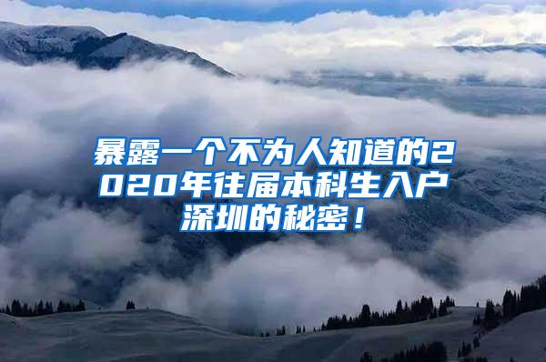 暴露一个不为人知道的2020年往届本科生入户深圳的秘密！