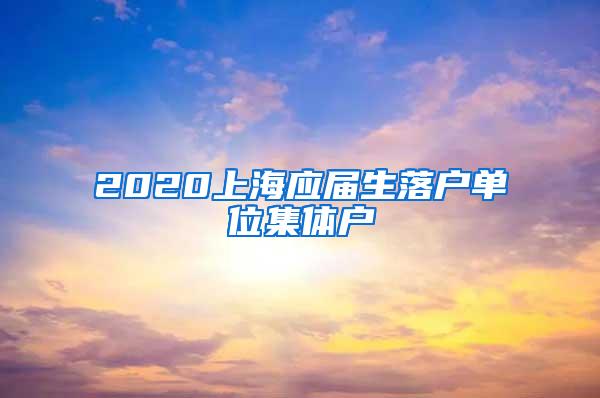 2020上海应届生落户单位集体户