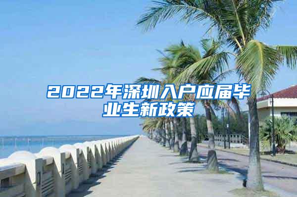 2022年深圳入户应届毕业生新政策