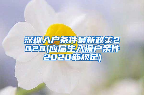 深圳入户条件最新政策2020(应届生入深户条件2020新规定)