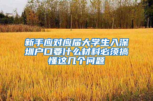 新手应对应届大学生入深圳户口要什么材料必须搞懂这几个问题