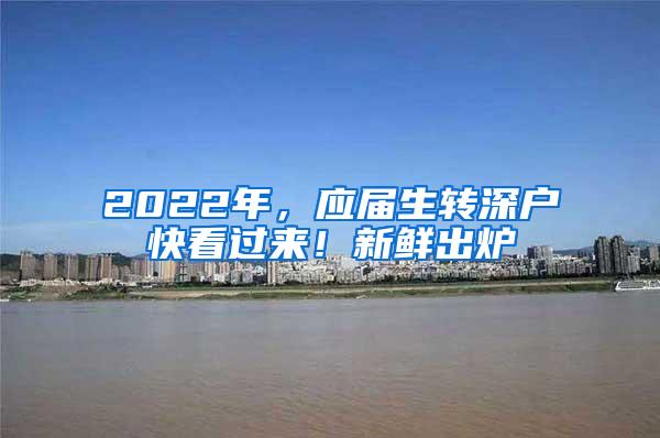 2022年，应届生转深户快看过来！新鲜出炉