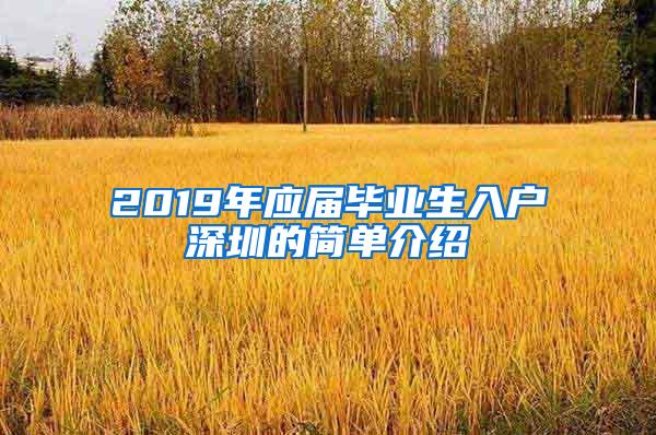 2019年应届毕业生入户深圳的简单介绍