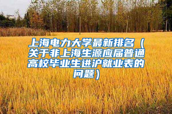 上海电力大学最新排名（关于非上海生源应届普通高校毕业生进沪就业表的问题）