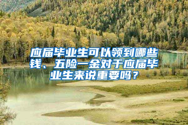 应届毕业生可以领到哪些钱、五险一金对于应届毕业生来说重要吗？