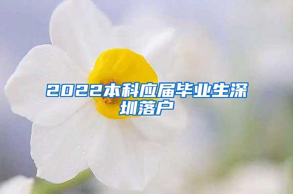 2022本科应届毕业生深圳落户