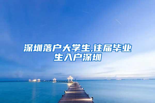 深圳落户大学生,往届毕业生入户深圳