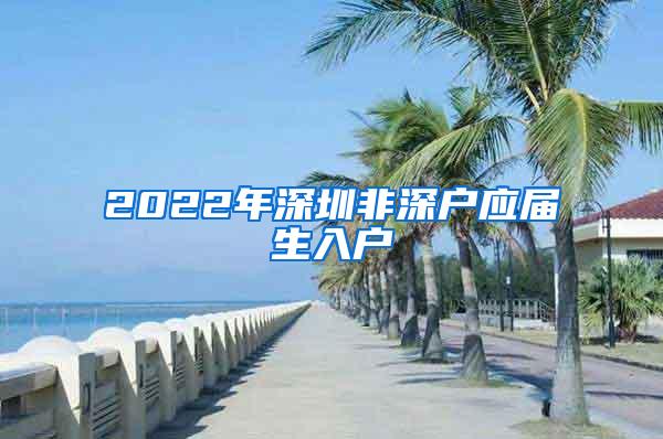 2022年深圳非深户应届生入户