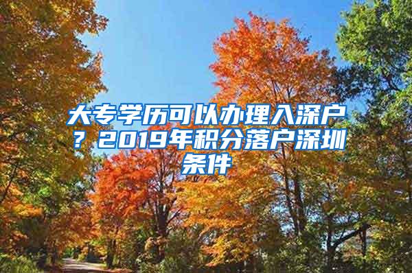 大专学历可以办理入深户？2019年积分落户深圳条件