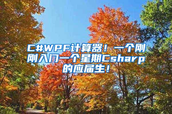 C#WPF计算器！一个刚刚入门一个星期Csharp的应届生！