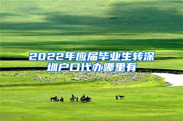 2022年应届毕业生转深圳户口代办哪里有