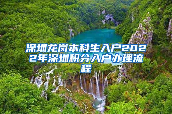 深圳龙岗本科生入户2022年深圳积分入户办理流程