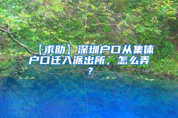 【求助】深圳户口从集体户口迁入派出所，怎么弄？