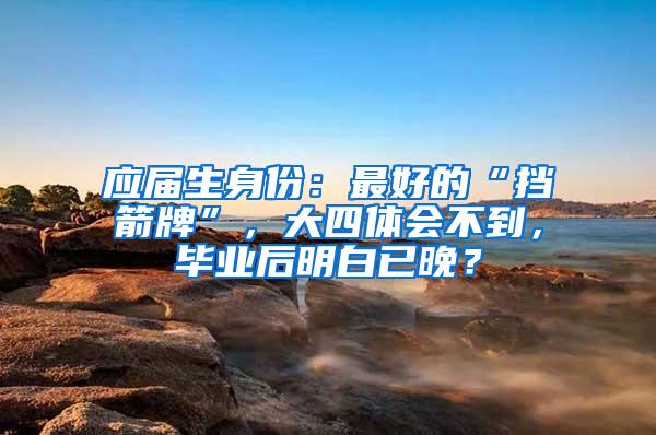 应届生身份：最好的“挡箭牌”，大四体会不到，毕业后明白已晚？