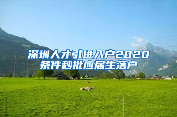 深圳人才引进入户2020条件秒批应届生落户