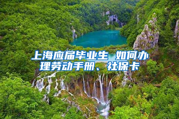 上海应届毕业生 如何办理劳动手册、社保卡