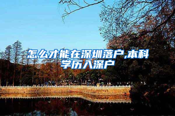 怎么才能在深圳落户,本科学历入深户