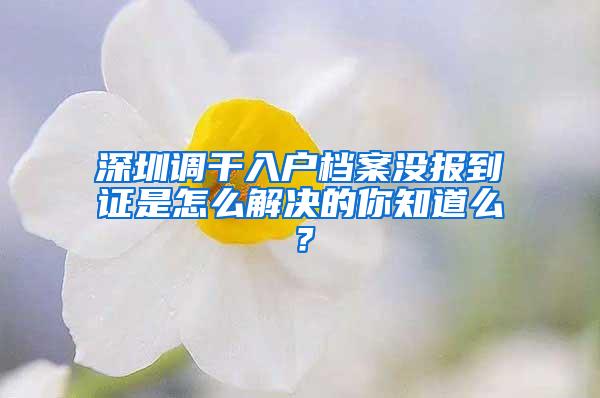 深圳调干入户档案没报到证是怎么解决的你知道么？