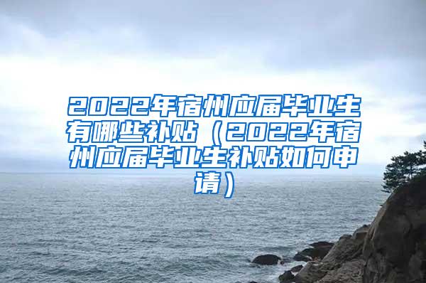 2022年宿州应届毕业生有哪些补贴（2022年宿州应届毕业生补贴如何申请）