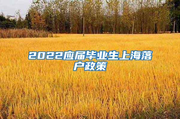 2022应届毕业生上海落户政策