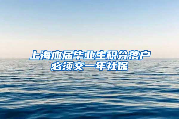 上海应届毕业生积分落户必须交一年社保