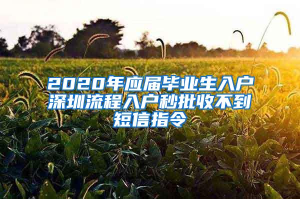 2020年应届毕业生入户深圳流程入户秒批收不到短信指令