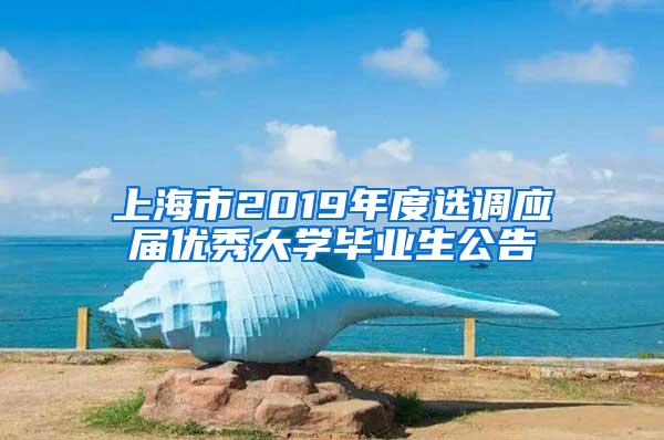 上海市2019年度选调应届优秀大学毕业生公告