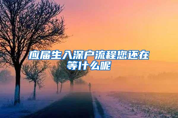 应届生入深户流程您还在等什么呢