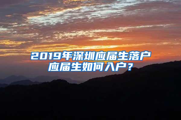 2019年深圳应届生落户应届生如何入户？