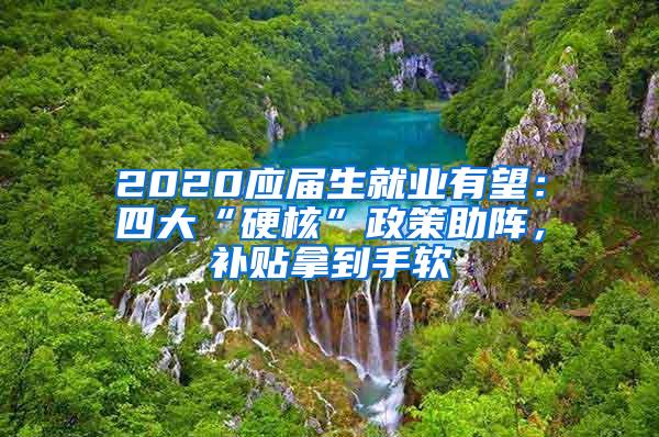 2020应届生就业有望：四大“硬核”政策助阵，补贴拿到手软