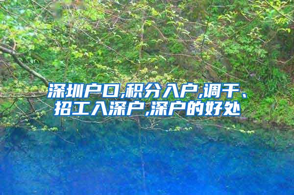 深圳户口,积分入户,调干、招工入深户,深户的好处