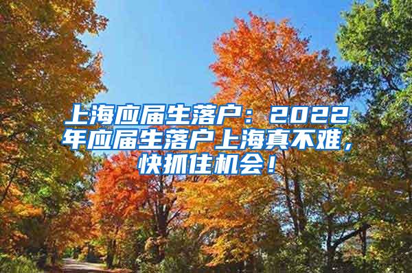 上海应届生落户：2022年应届生落户上海真不难，快抓住机会！