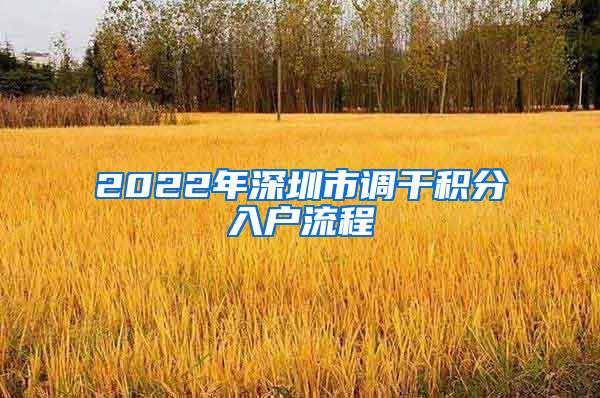 2022年深圳市调干积分入户流程