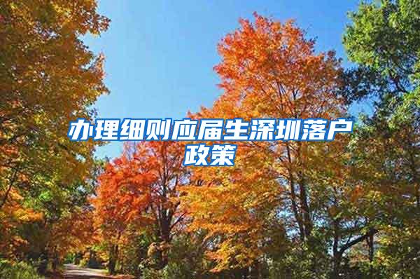 办理细则应届生深圳落户政策