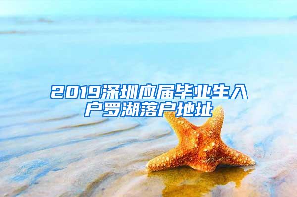 2019深圳应届毕业生入户罗湖落户地址