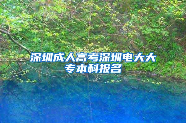 深圳成人高考深圳电大大专本科报名