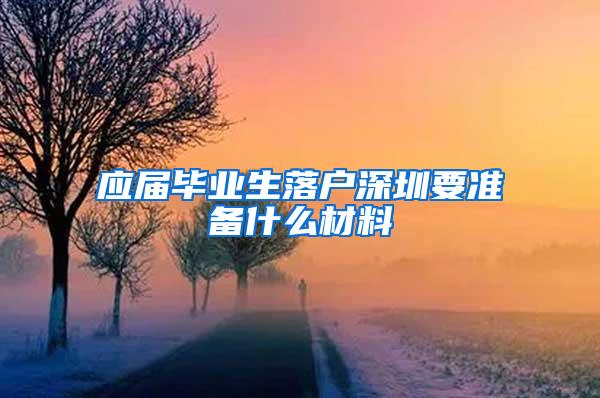 应届毕业生落户深圳要准备什么材料