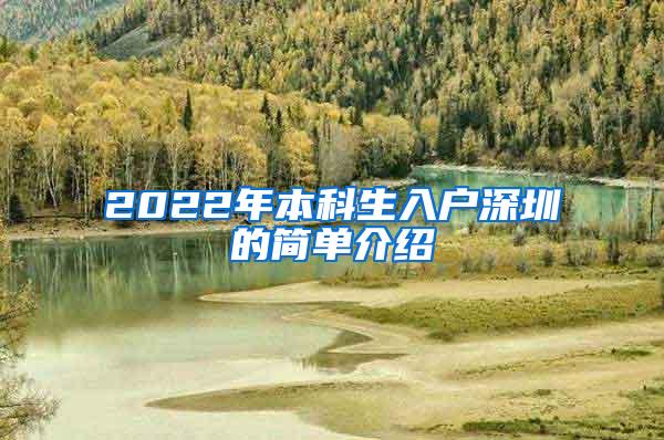 2022年本科生入户深圳的简单介绍