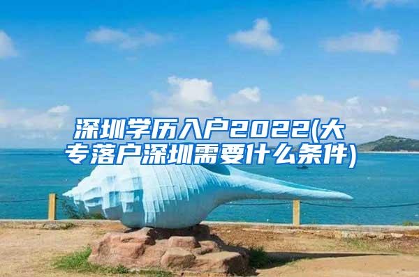 深圳学历入户2022(大专落户深圳需要什么条件)