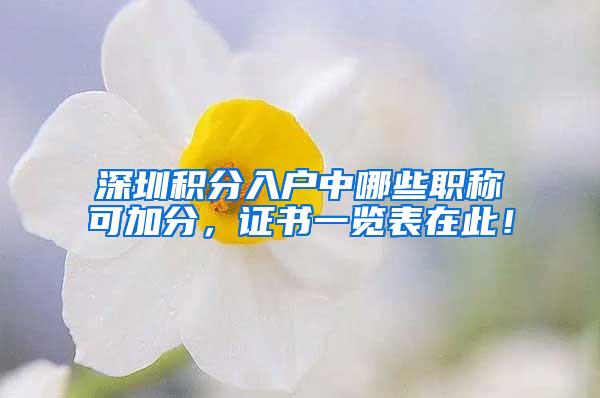 深圳积分入户中哪些职称可加分，证书一览表在此！