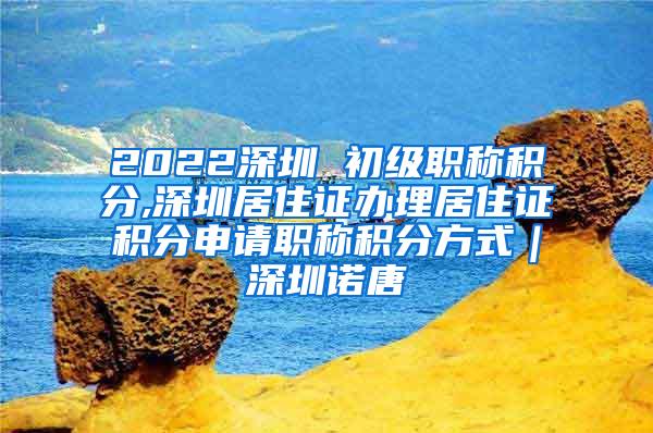 2022深圳 初级职称积分,深圳居住证办理居住证积分申请职称积分方式｜深圳诺唐