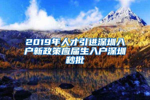 2019年人才引进深圳入户新政策应届生入户深圳秒批