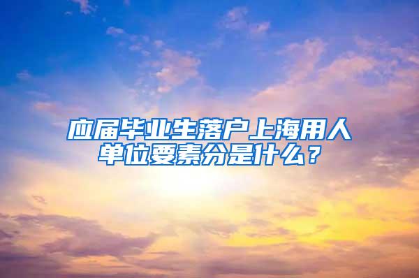 应届毕业生落户上海用人单位要素分是什么？