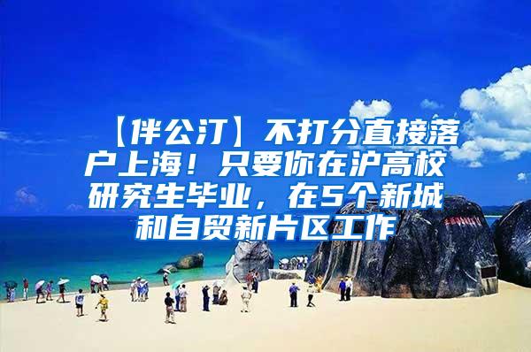 【伴公汀】不打分直接落户上海！只要你在沪高校研究生毕业，在5个新城和自贸新片区工作