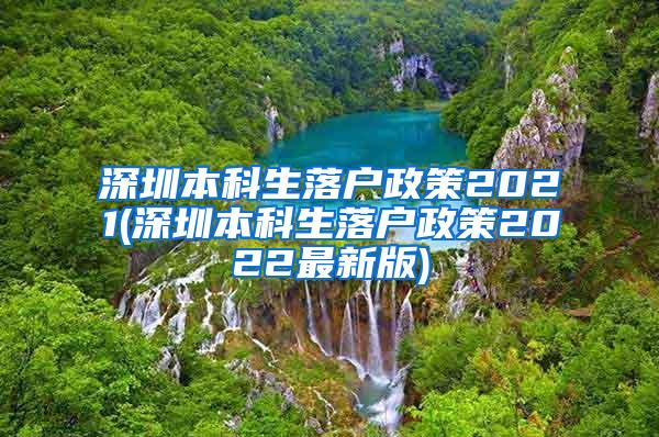 深圳本科生落户政策2021(深圳本科生落户政策2022最新版)