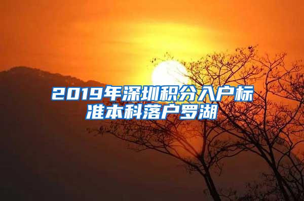 2019年深圳积分入户标准本科落户罗湖