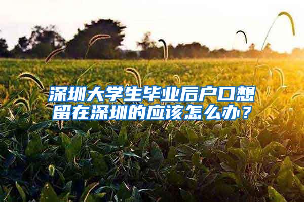 深圳大学生毕业后户口想留在深圳的应该怎么办？