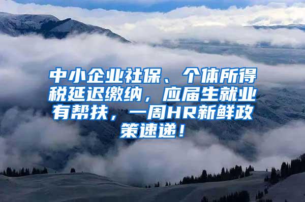 中小企业社保、个体所得税延迟缴纳，应届生就业有帮扶，一周HR新鲜政策速递！