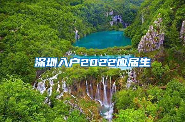 深圳入户2022应届生